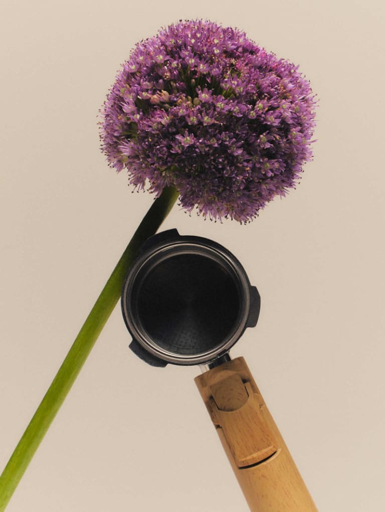 Tu carrera empieza aquí